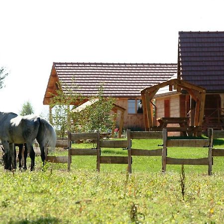 Villa Le Hameau Des Grilles Saint-Fargeau  Esterno foto