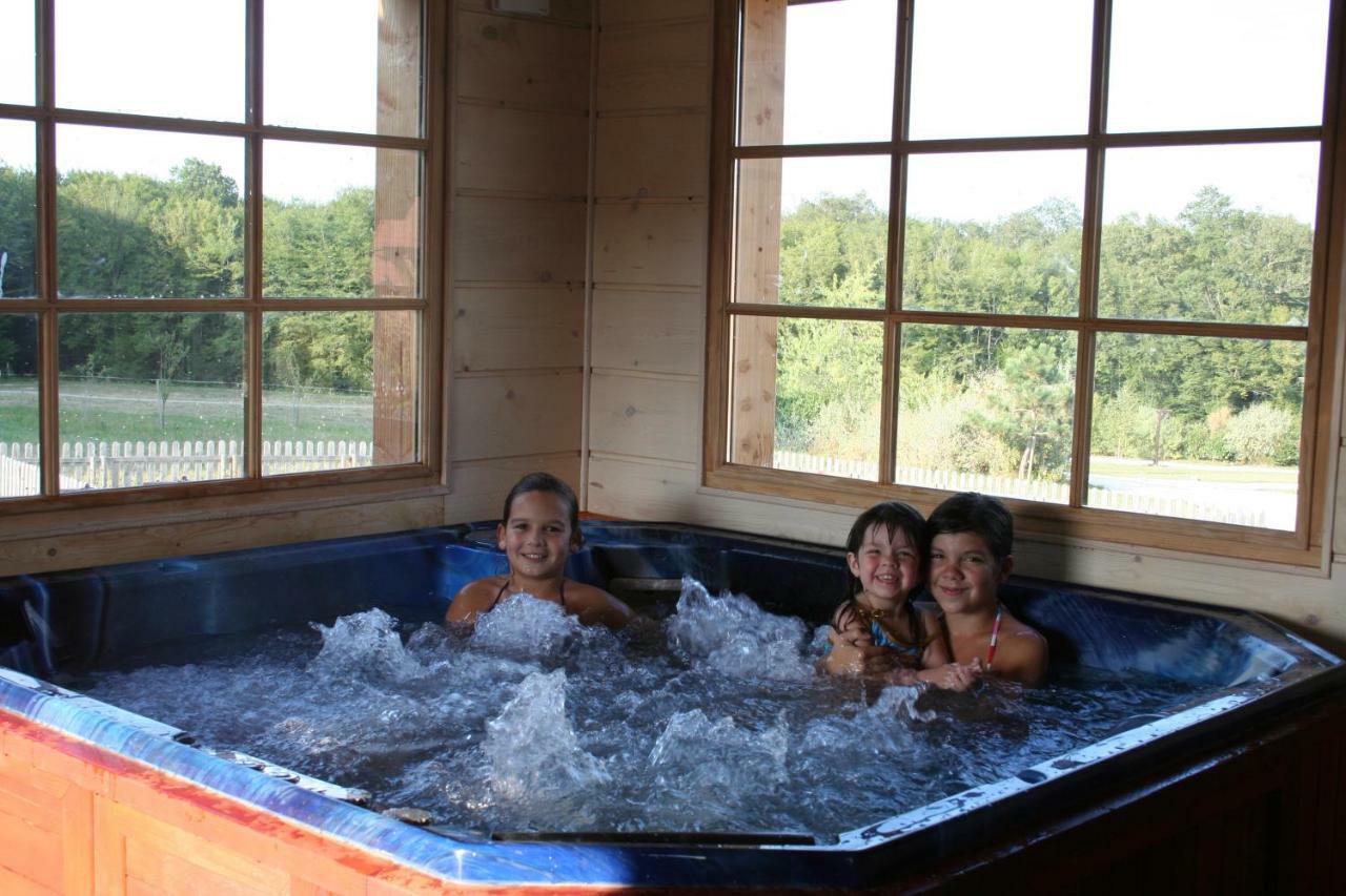 Villa Le Hameau Des Grilles Saint-Fargeau  Esterno foto