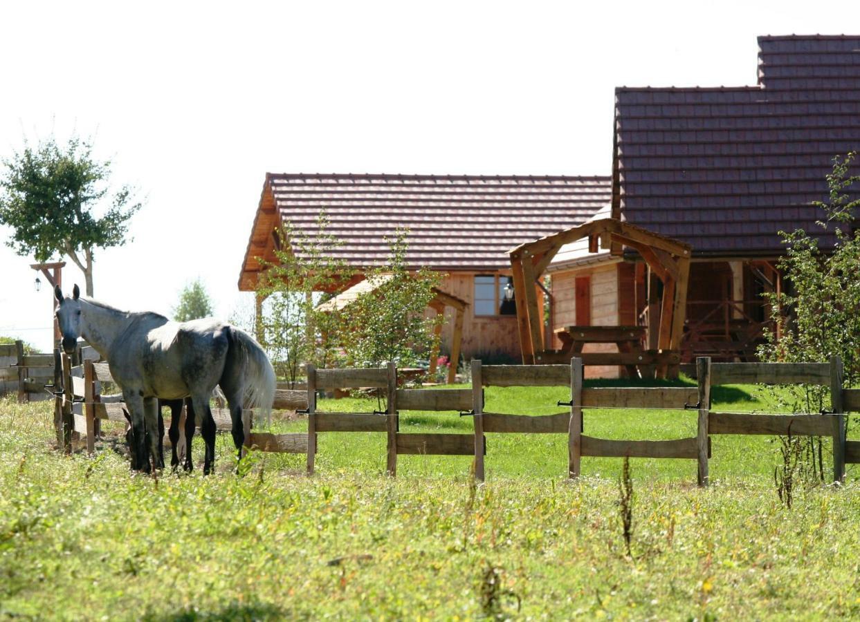 Villa Le Hameau Des Grilles Saint-Fargeau  Esterno foto